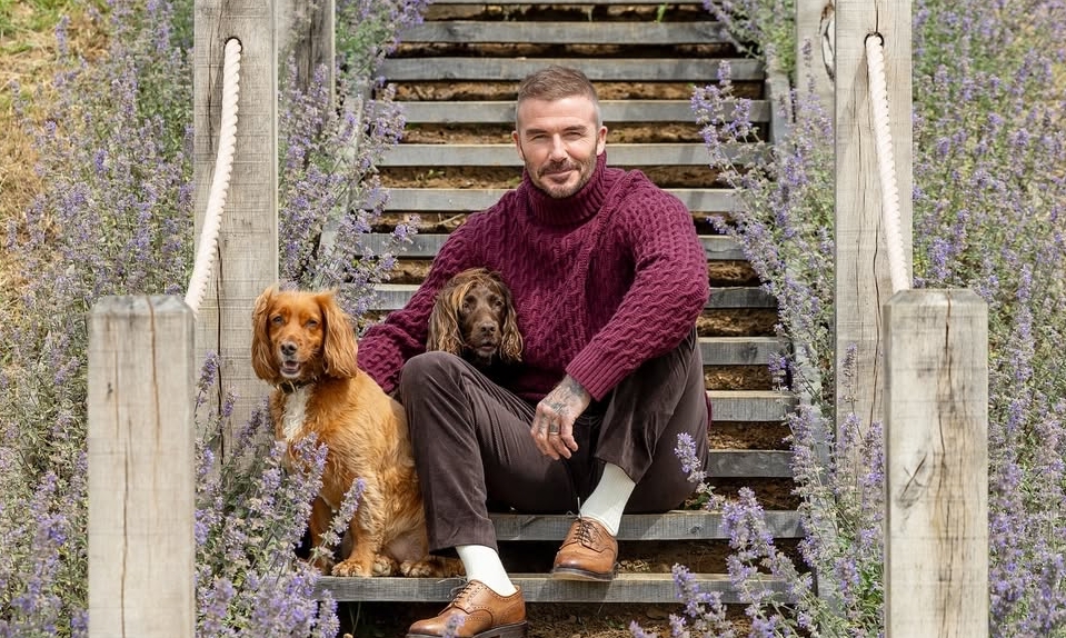 Thưởng tân thủ X88 và phong cách thời thượng của David Beckham - hình ảnh - x88beta.com Thưởng tân thủ X88 và phong cách thời thượng của David Beckham - hình ảnh - x88beta.com